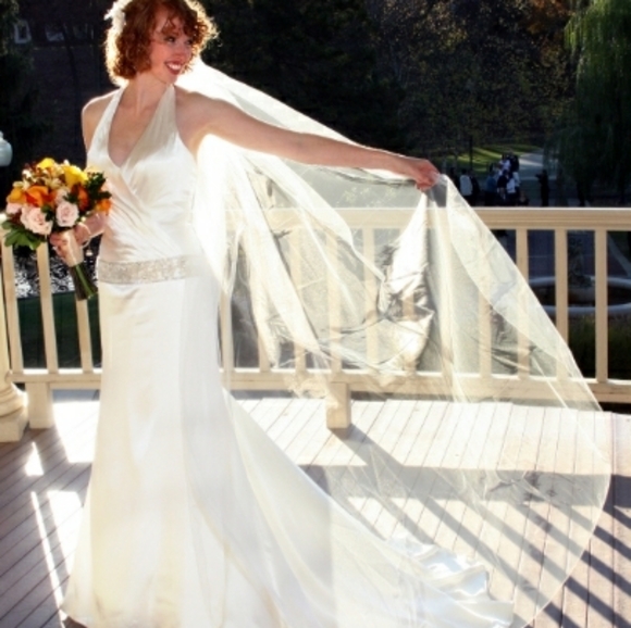 David's Bridal wedding gown - Picture 6 of 7